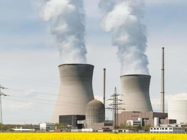 Nuclear Power Plant in a Power System